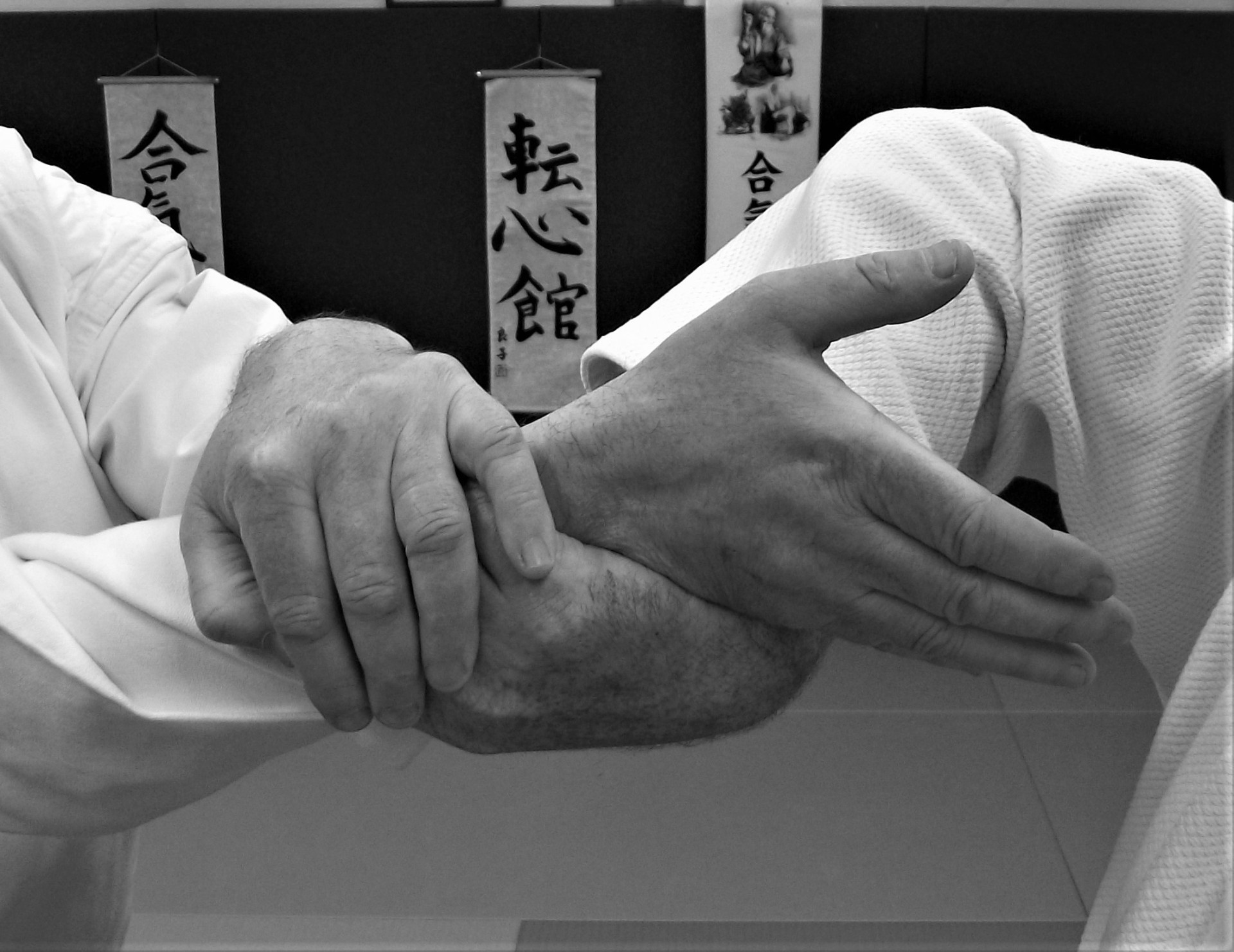 Close-up of wrist technique in the dojo